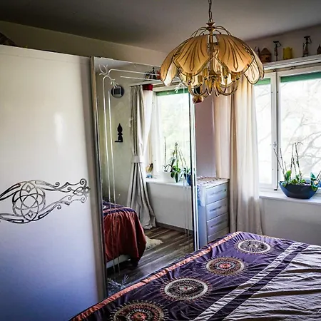 Homestay Lutyma